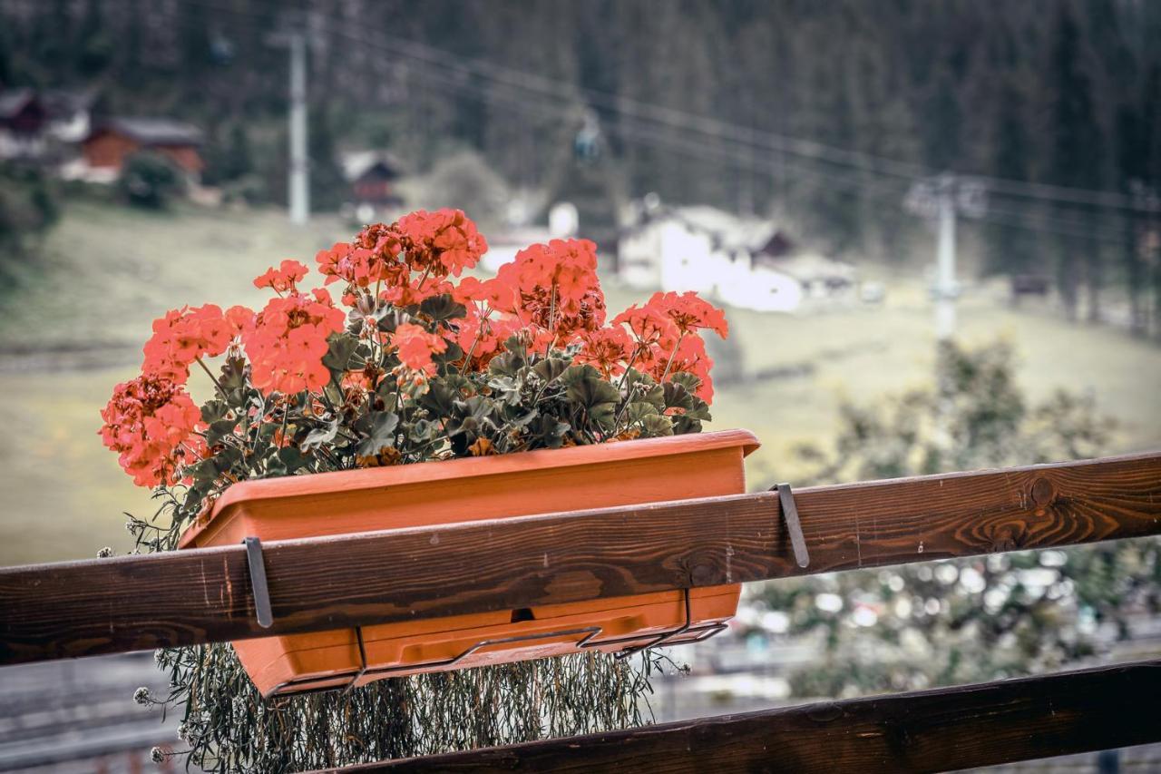 Chalet Du Lys Hotel & Spa Gressoney-la-Trinité Dış mekan fotoğraf